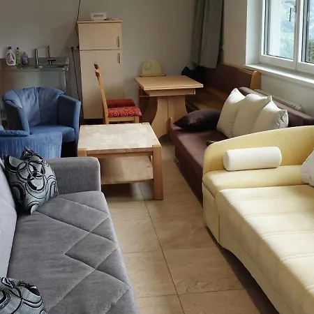 Apartment App 24 Personen Innerspielleiten Hippach